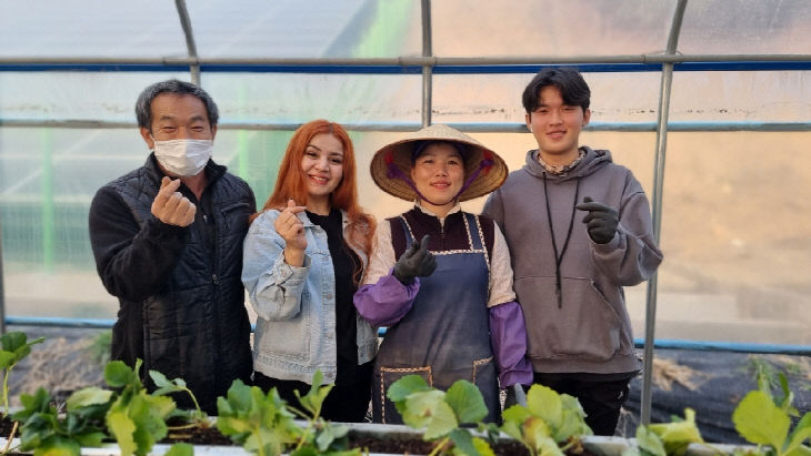 전북 삼례의 딸기농장을 찾은 딜로자 명예기자