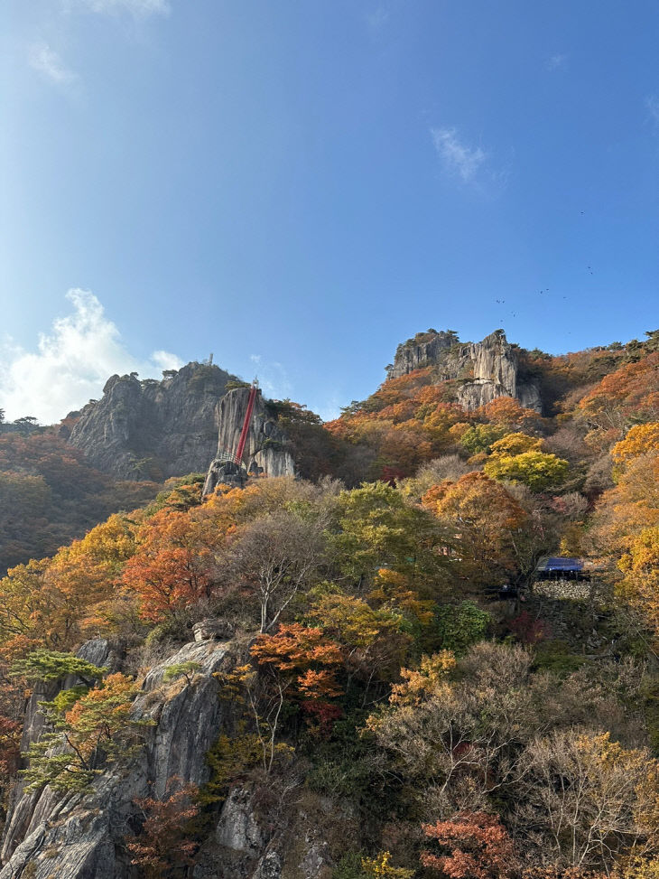 대둔산의 가을 단풍