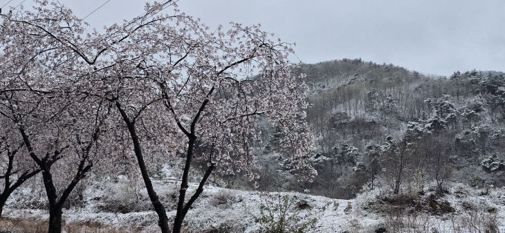 금산(아사오까리에1)