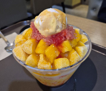 [11-6] 사박 기자_