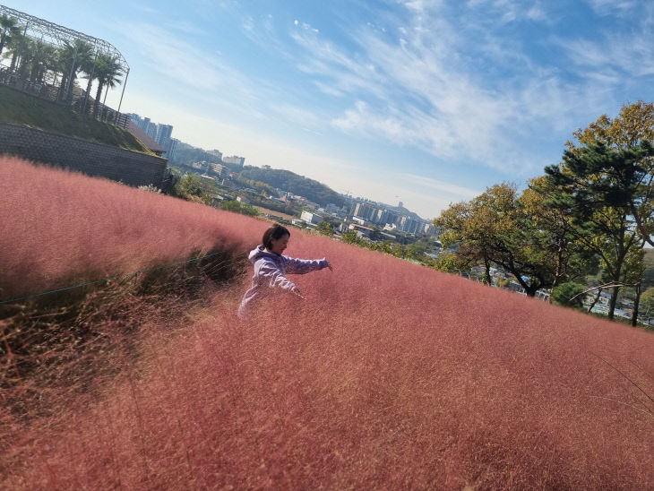 니시가미 아야카 기사 사진 1