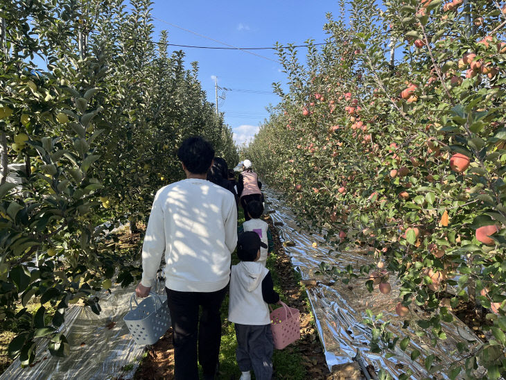 2. 사과농장 체험 사진(2)