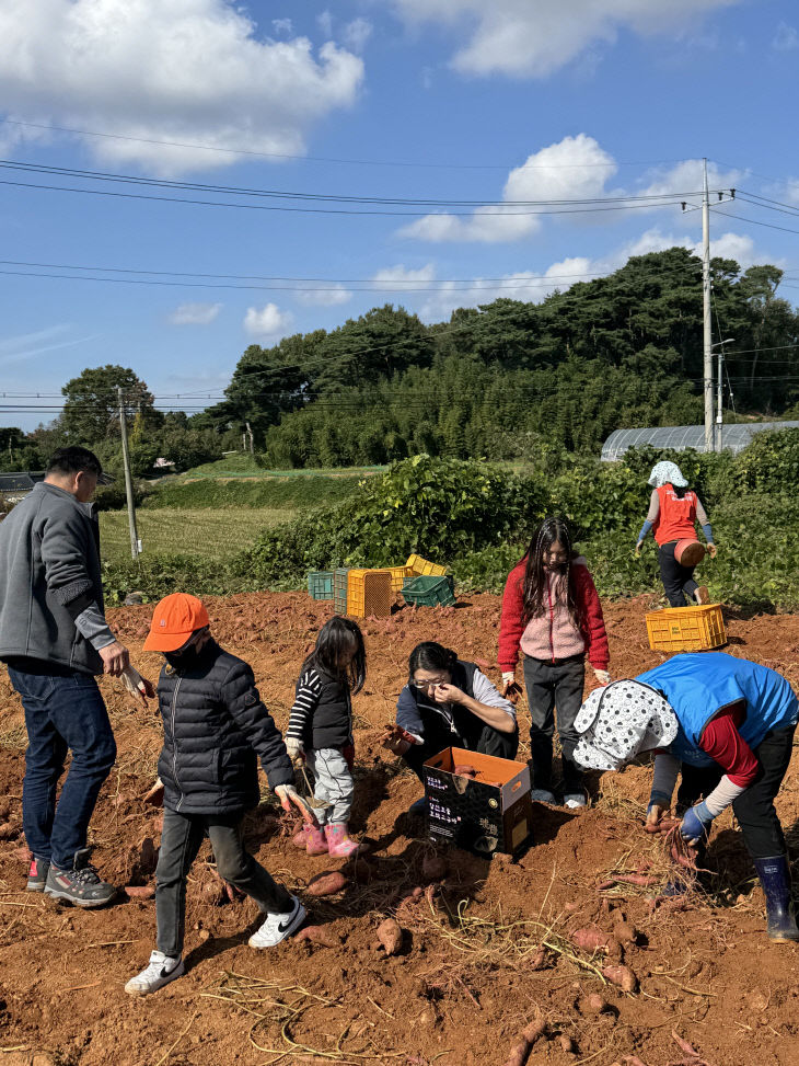 3. 고구마체험 사진(2)_