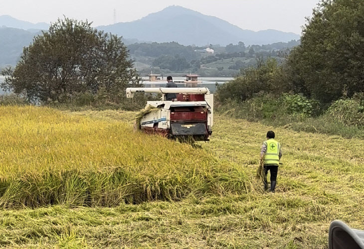 기사5 벼수확사진