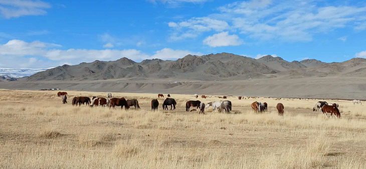 아리오나 첨부5