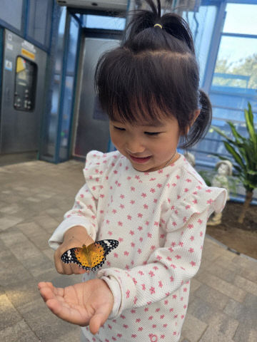 아산곤충생태원(시에위잉)_