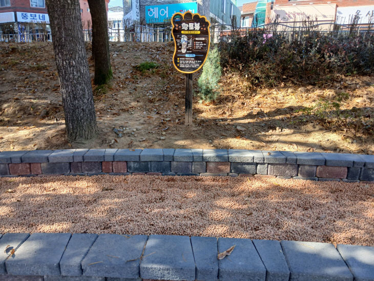 계룡시, 주민 위한 무료 족욕장 개장2