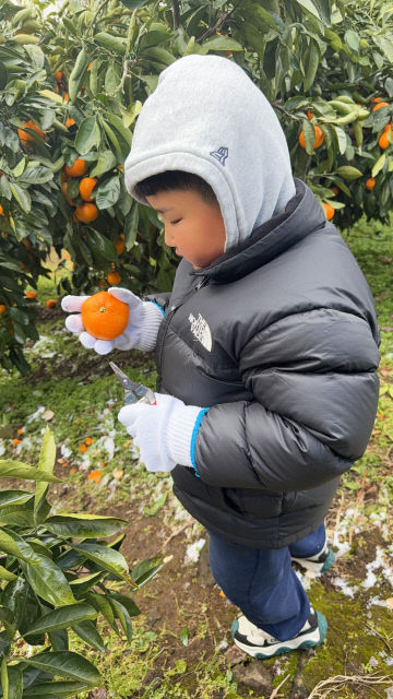 2-1. 제주도, 외국인에게 새로운 한국의 매력을 선사하다