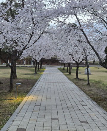 사본 -KakaoTalk_20260413_115528375