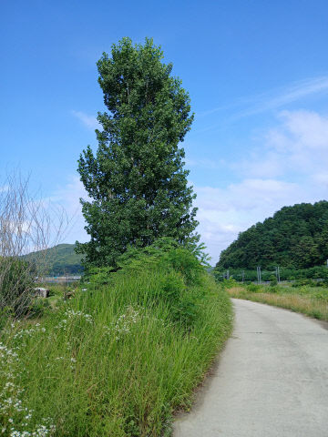 EXIF_계룡산 두계천 자전거길, 자연 속 힐링 라이딩