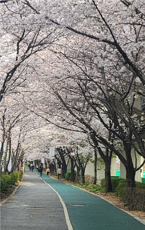 기사썸네일
