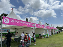 기사썸네일